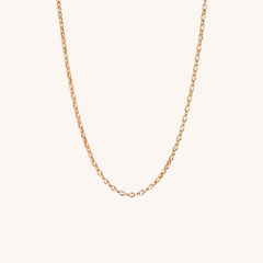 Collection image for: Collares